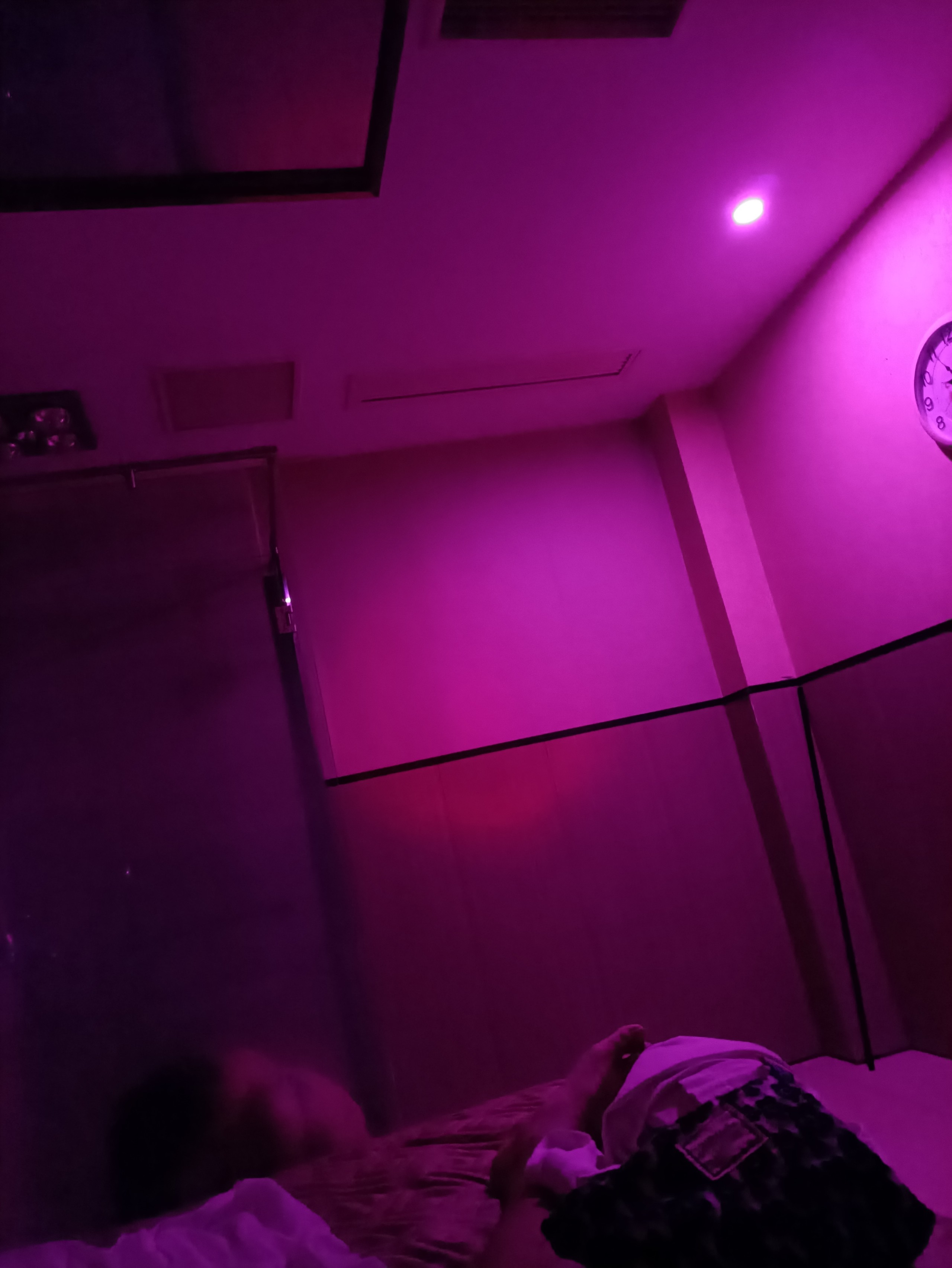 IMG_20221001_215704.jpg